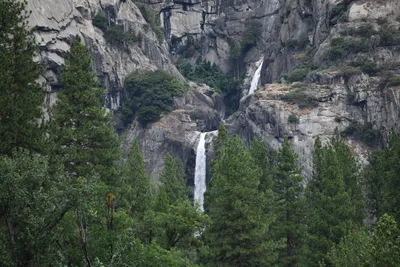 DSC_4663 (Large).JPG